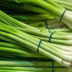 বারি পাতা পেঁয়াজ ১