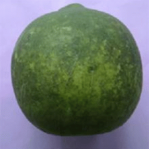 বারি বেল-১